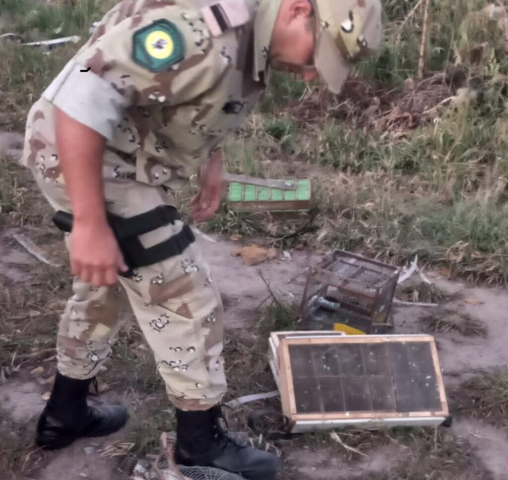 Seguridad - BRIGADISTAS