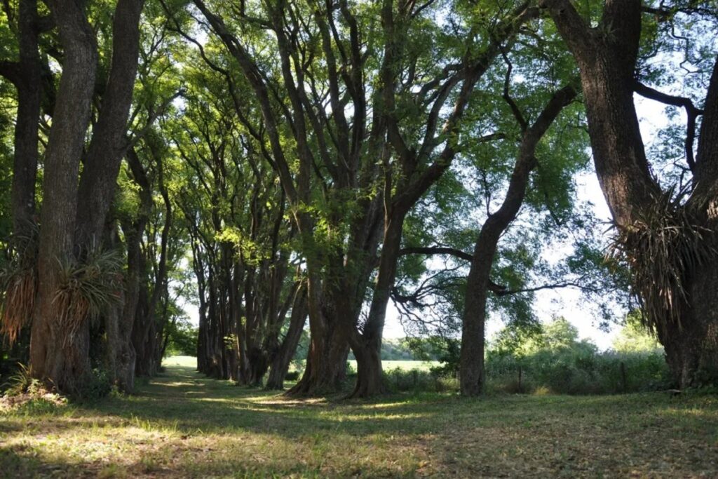 Ambiente - SISTEMA DE AREAS NATURALES
