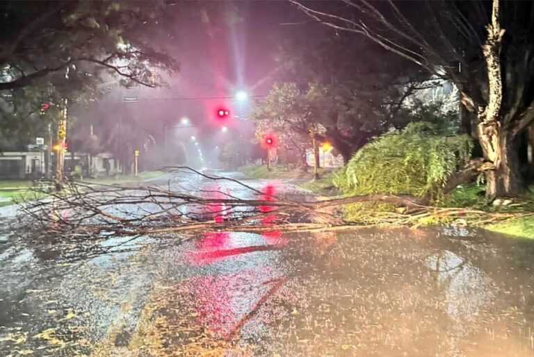 Clima - TORMENTA PARANA 18-05