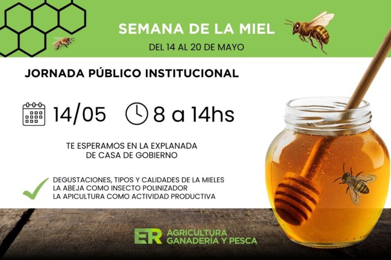 Desarrollo Productivo - APICULTURA