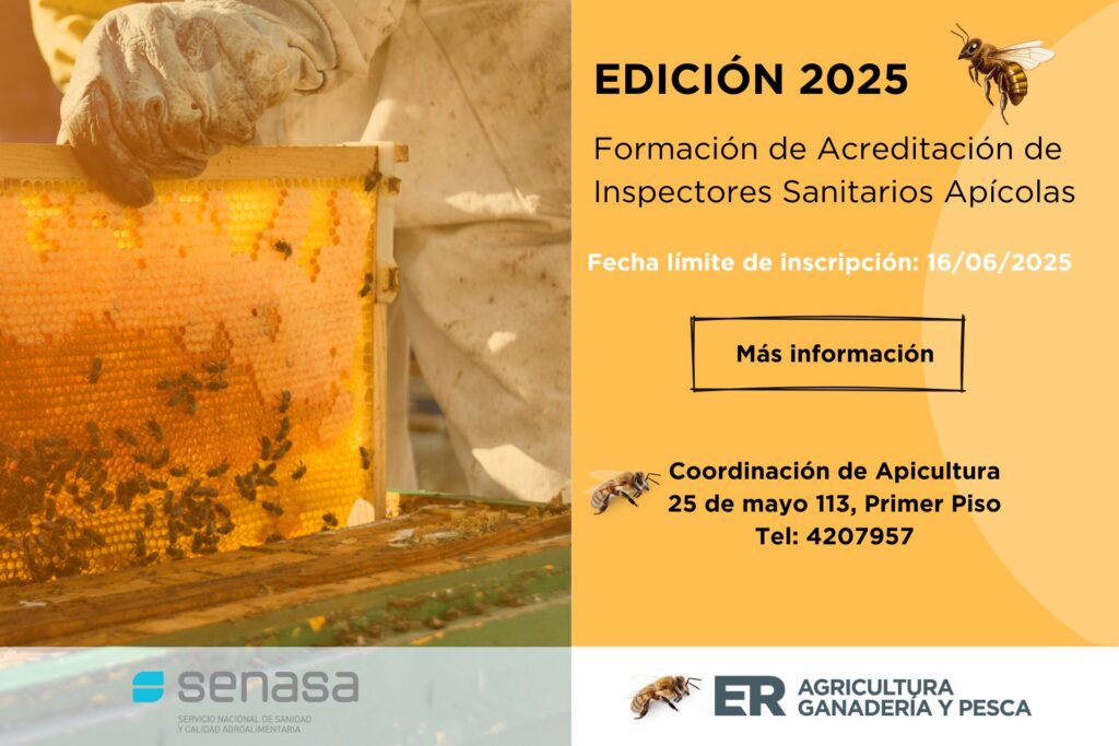 download (1)