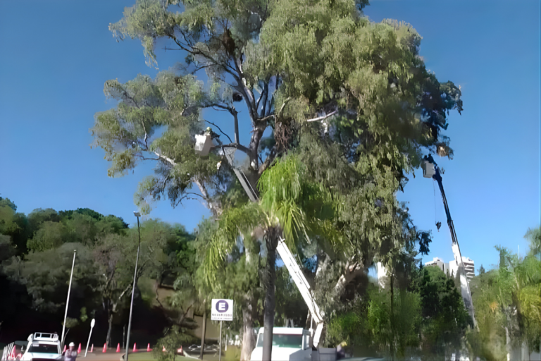 _Post e Historias El Entrerriano Informa (69)