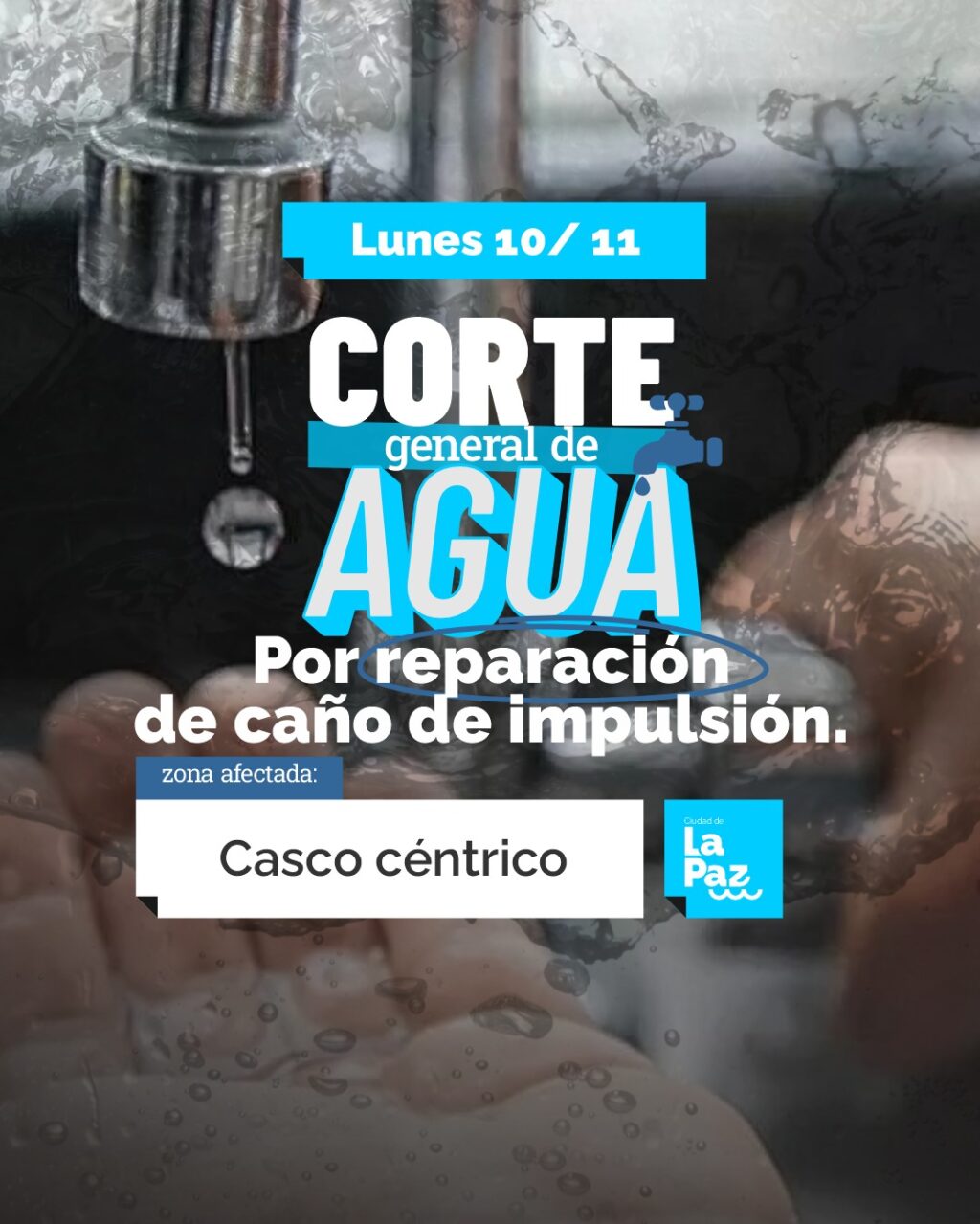 WhatsApp Image 2025-11-08 at 10.51.22 AM