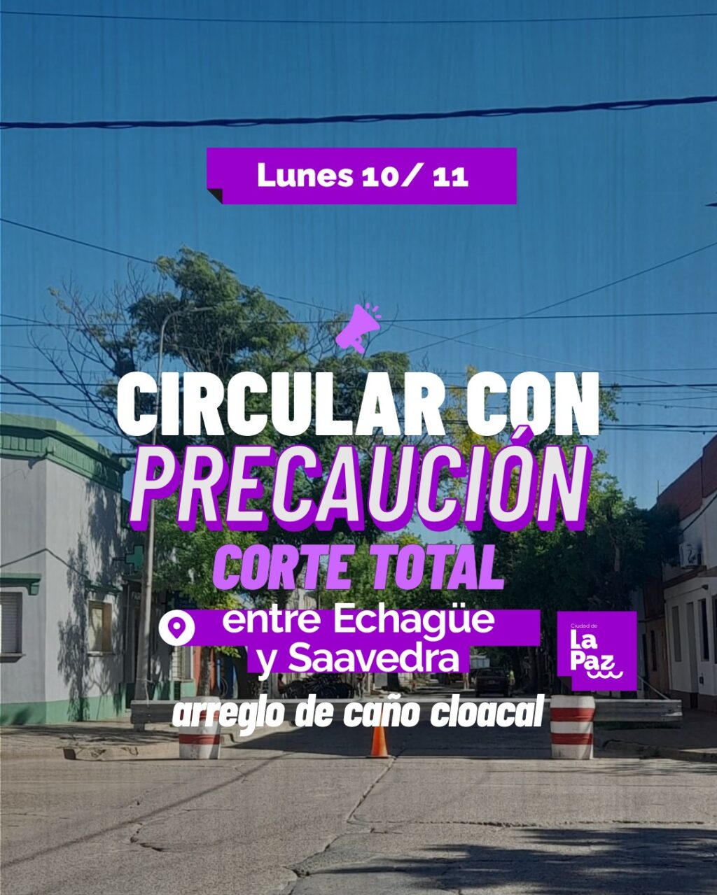 WhatsApp Image 2025-11-11 at 8.38.28 AM