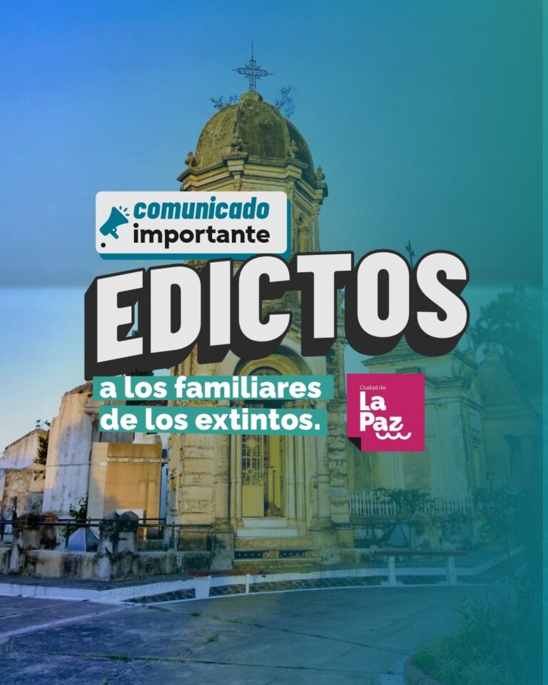 WhatsApp Image 2025-11-14 at 9.11.12 AM