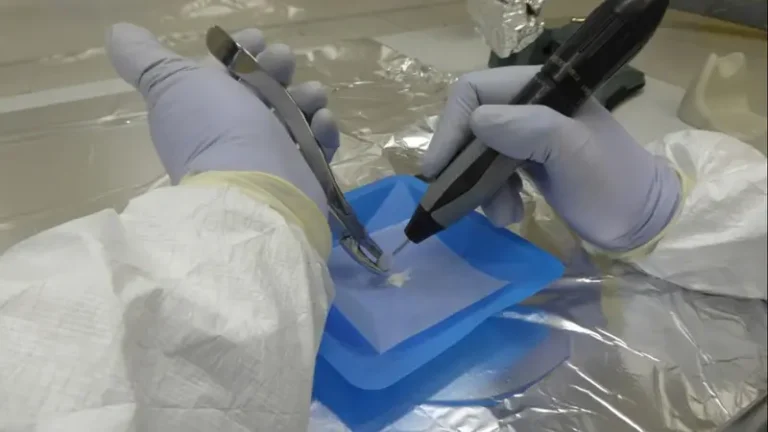 conicet-nota-linaje-4-1-jpg.