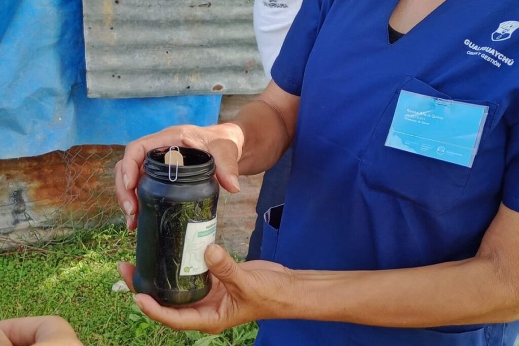 landscape_h__Gualeguaychu_1762865408