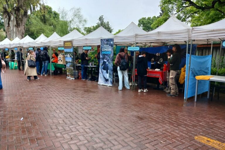 landscape_h__Gualeguaychu_1762963310