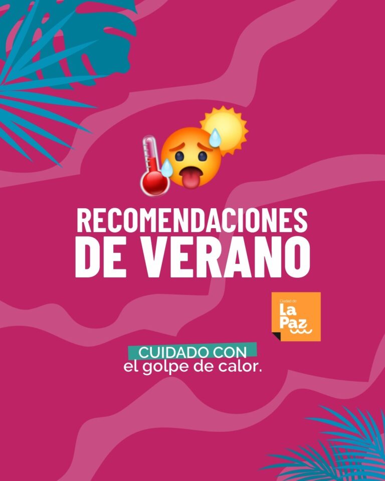 WhatsApp Image 2025-12-29 at 09.09.57