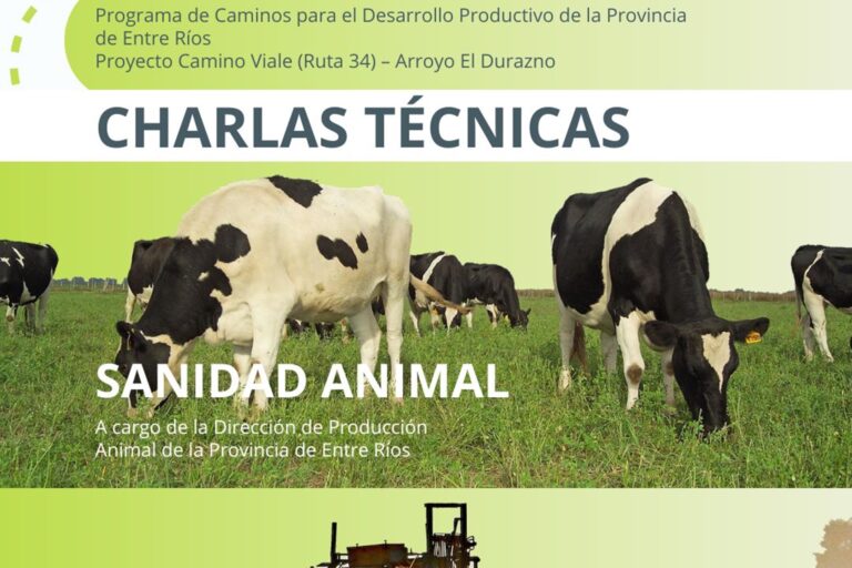 descarga (29)